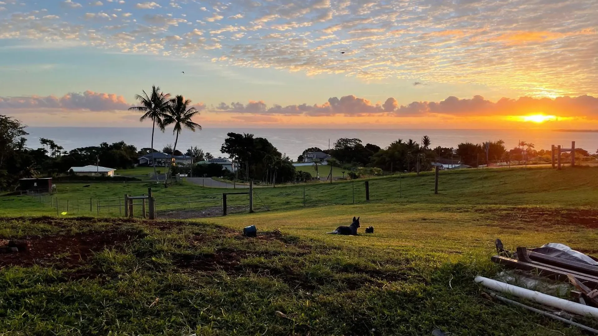 Hawaii Magic Skies Farmstay Paukaa 住宿加早餐酒店