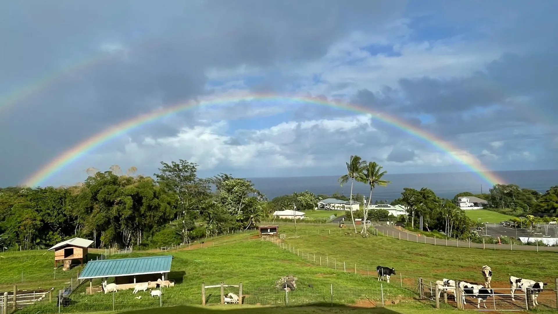 住宿加早餐酒店 Hawaii Magic Skies Farmstay Paukaa