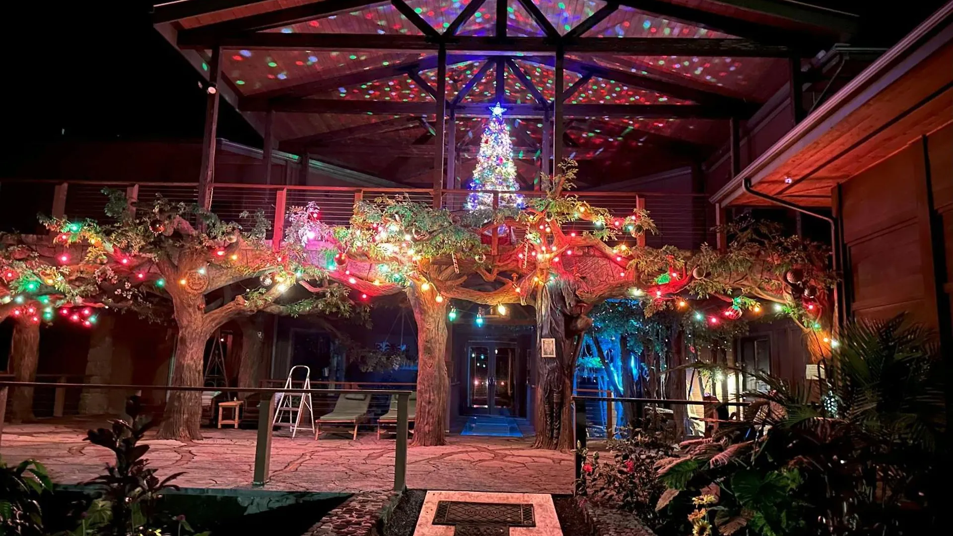 Hawaii Magic Skies Farmstay Paukaa 美国