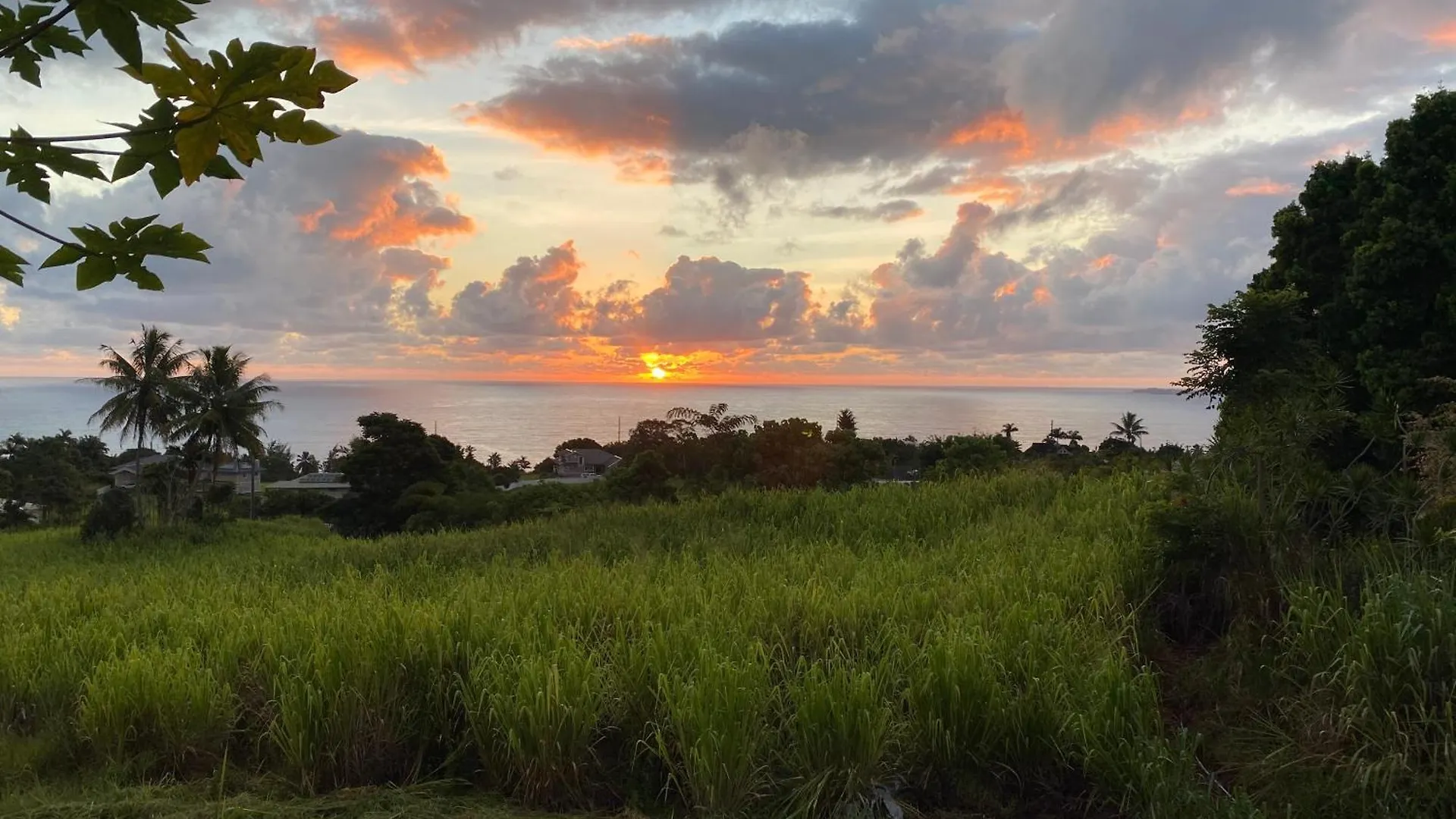 Bed & Breakfast Hawaii Magic Skies Farmstay Paukaa