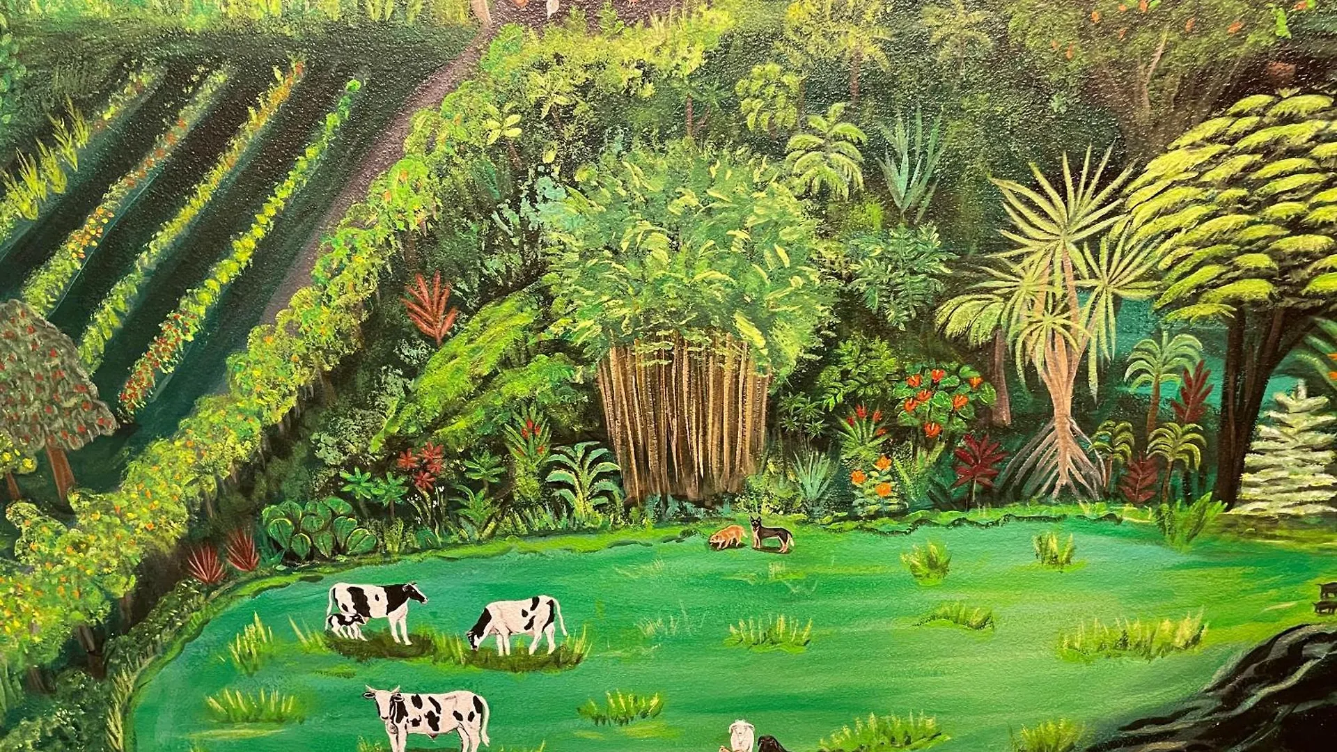 Oda ve Kahvaltı Hawaii Magic Skies Farmstay Paukaa